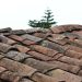 Mousses, feuilles mortes : comment entretenir sa toiture à l’automne ?